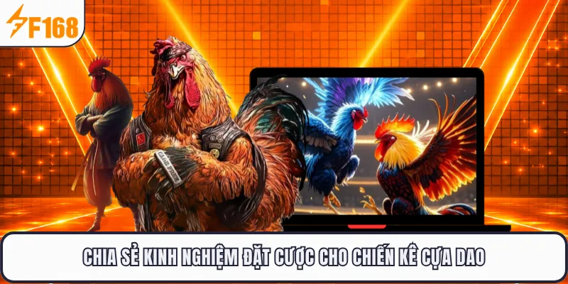 Chia sẻ kinh nghiệm đặt cược cho chiến kê cựa dao