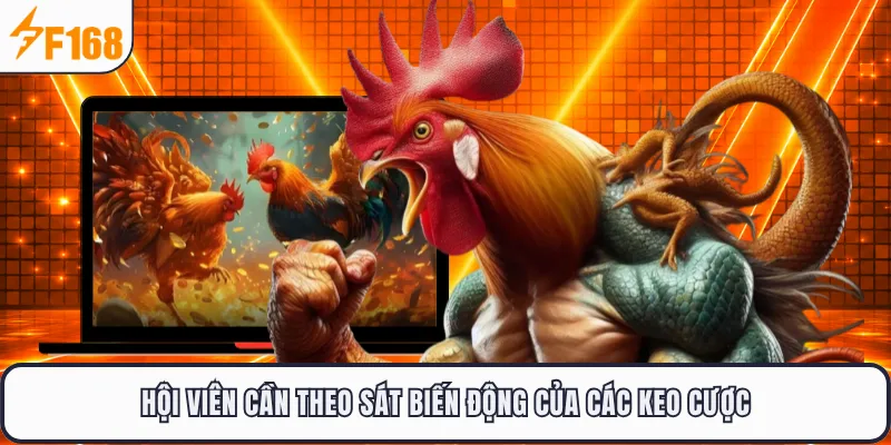 Hội viên cần theo sát biến động của các keo cược